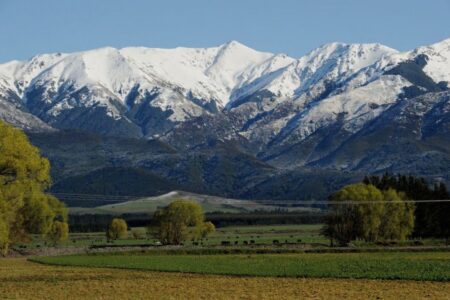 Top scholarships in New Zealand for international students