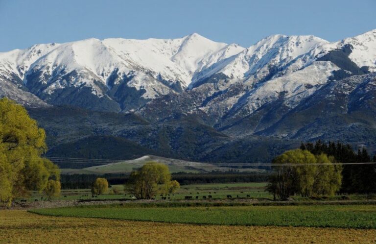 Top scholarships in New Zealand for international students