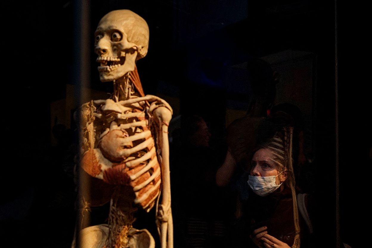 The study of living things has accelerated in recent years. Dimitar Dilkoff  /