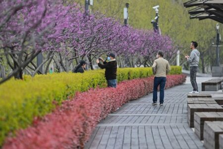 Shanghai lockdown: What does China's relentless zero-COVID strategy mean for students?