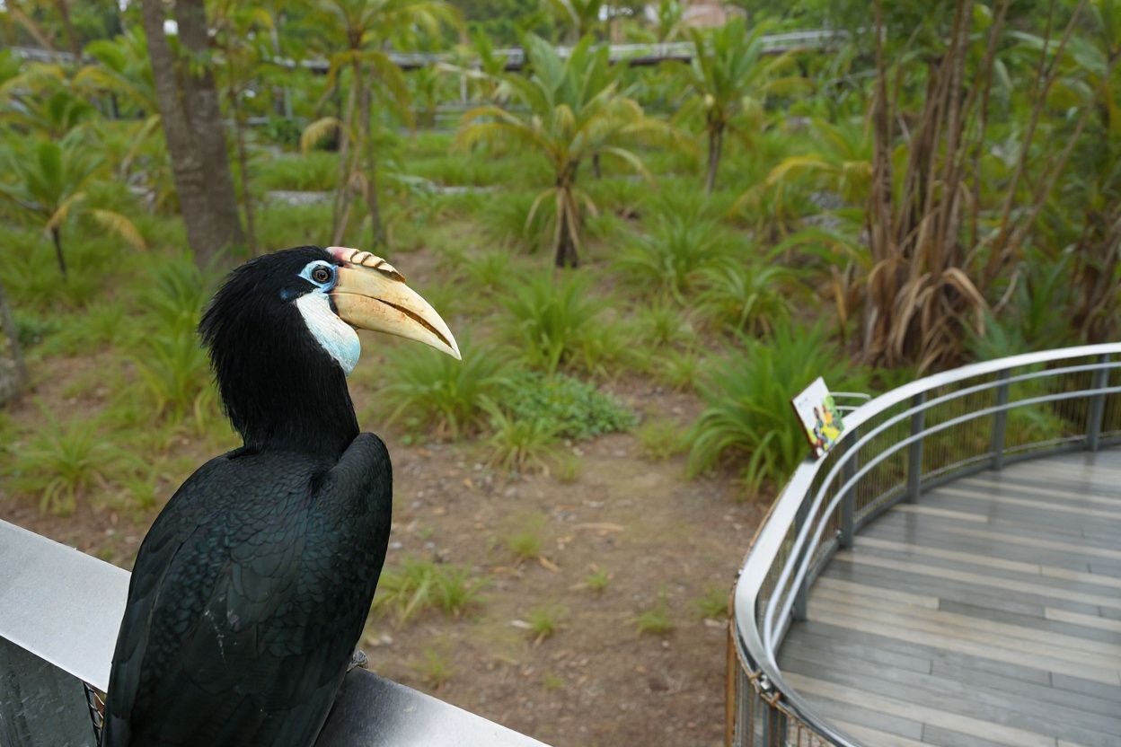 49% of bird species are declining globally, and one in eight of all bird species are threatened with global extinction. Source: