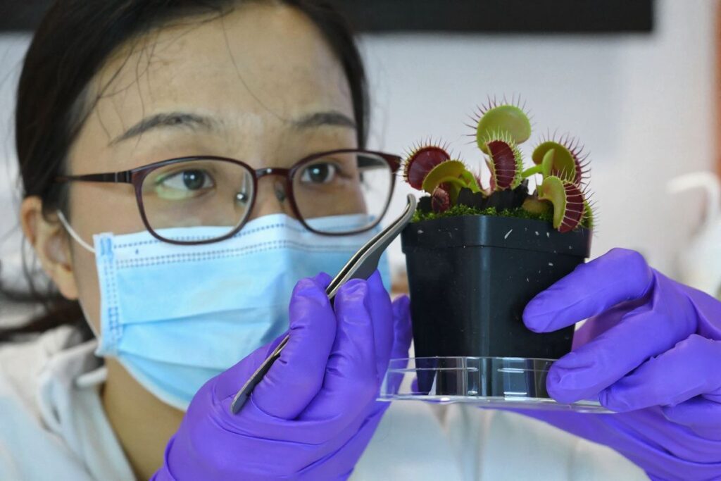 Women pursuing a PhD can qualify for scholarships from a number of organisations / Source: Roslan RAHMAN /