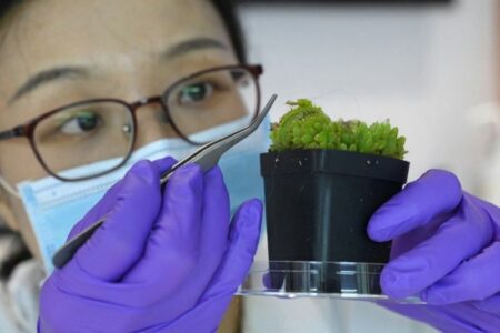 3 best universities in the UK for a PhD in 2023