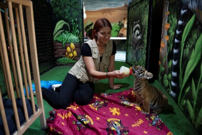 Why experiential learning matters in school, and how to get ahead of the game