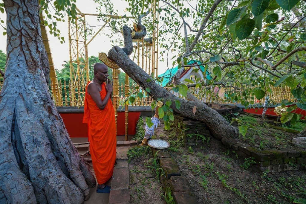 A Buddhist monk Pallegama Hemarathana offers prayers at the Sri Maha Bodhi temple in the north-central town of Anuradhapura on May 19, 2023. Sri Maha Bodhi tree is considered to be the oldest and the most sacred in Sri Lanka as it is believed to have sheltered the Buddha over 2,500 years ago when he attained enlightenment in neighbouring India. (Photo by Ishara S. KODIKARA / )