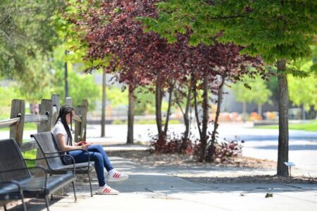 Academic writing: 4 things every college student should know