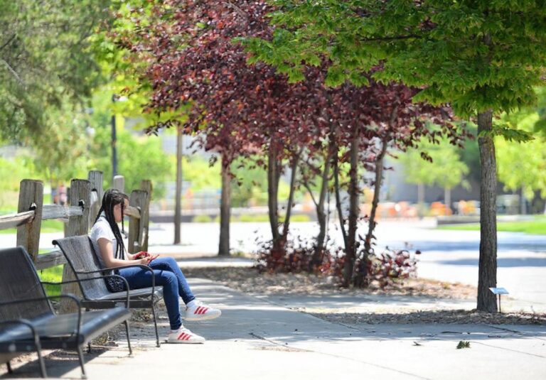 Academic writing: 4 things every college student should know