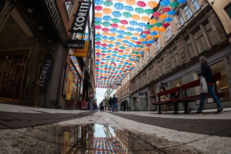 7 exciting scholarships in Sweden for international students