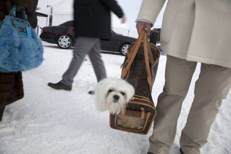 Where the wealthy learn: A guide to the best unis in the world's richest countries