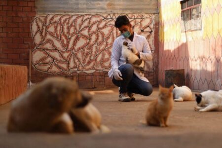 5 ways to spend your gap year productively