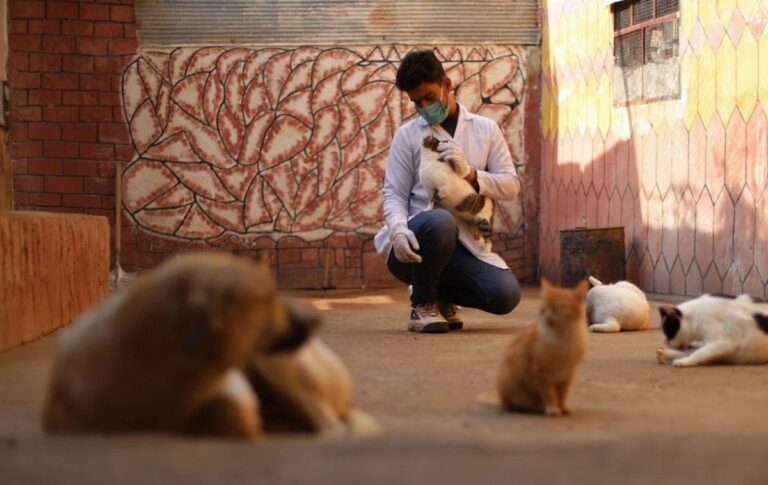 5 ways to spend your gap year productively