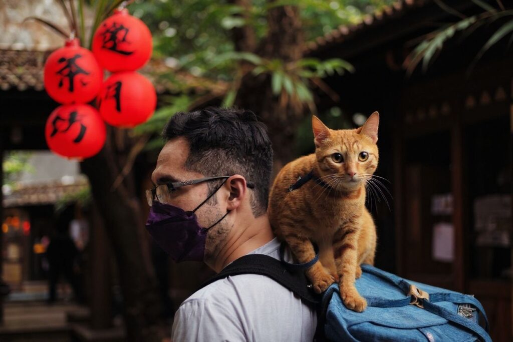 There are plenty of things to see and do in Taiwan. Source: Sam Yeh/