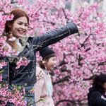 5 best fully funded scholarships for undergraduates in 2024