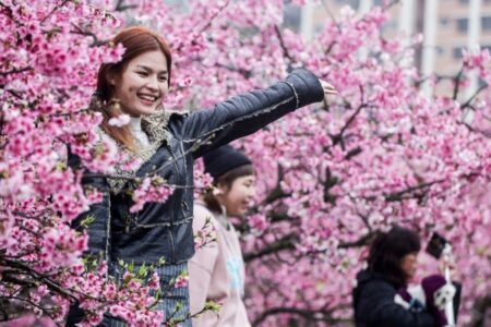 5 best fully funded scholarships for undergraduates in 2024