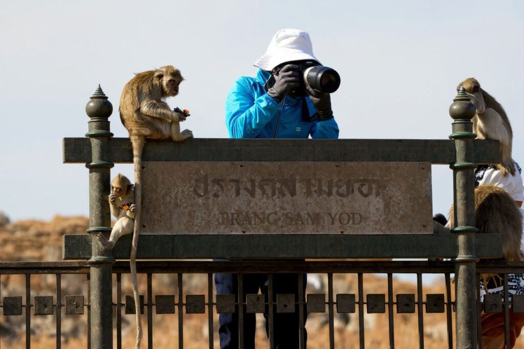 Photography skills will be useful for your travels as well as everyday life. Source: Jack Taylor/