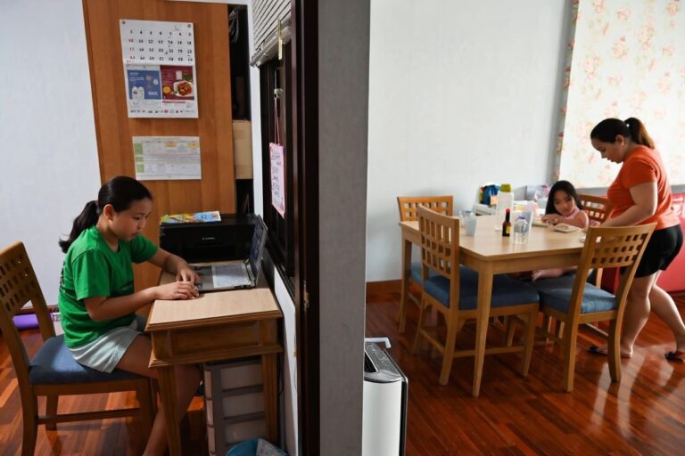 El Salvadoran sisters attending online classes up a tree