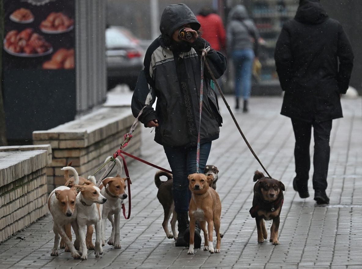 Who said babysitting can’t be for furry babies? Source: