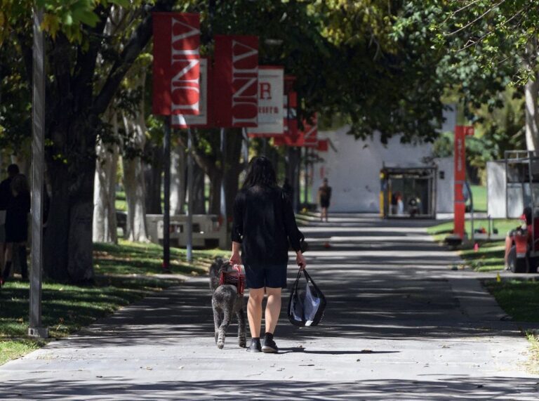 How you can subsidise the cost of a grad degree while gaining career-ready skills