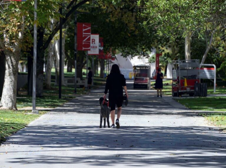 H-1B visa registration for fiscal year 2023 to begin from March 1 to 18: USCIS