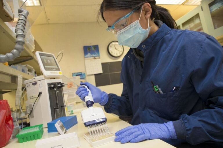 DAAD Scholarships in Germany: An international student guide