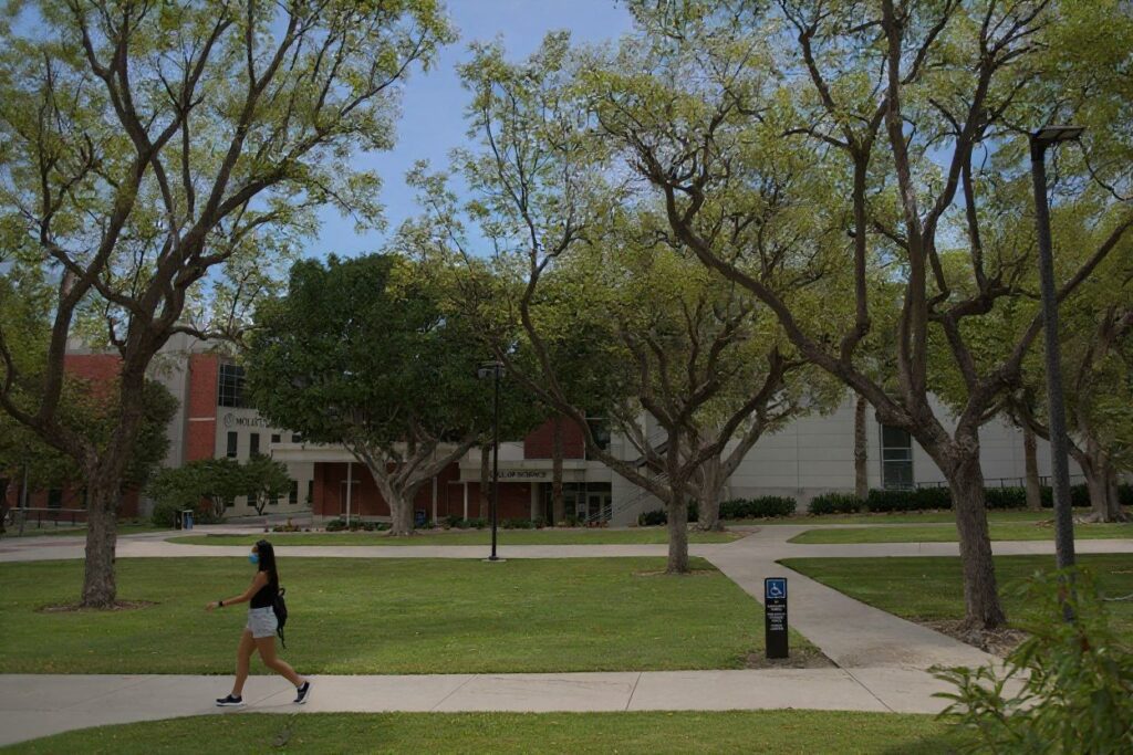 According to reports, some countries are working to expedite processes to recognise foreign qualifications. Source: Patrick T. Fallon/