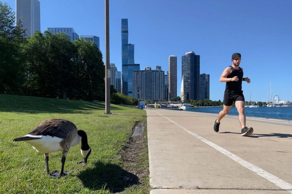 After organising your required documents, you can apply online using the CIC official website. Source: Daniel Slim/