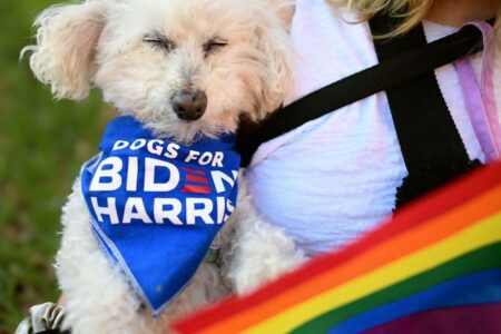 Know your rights: The pets you can and cannot keep in a US college dorm