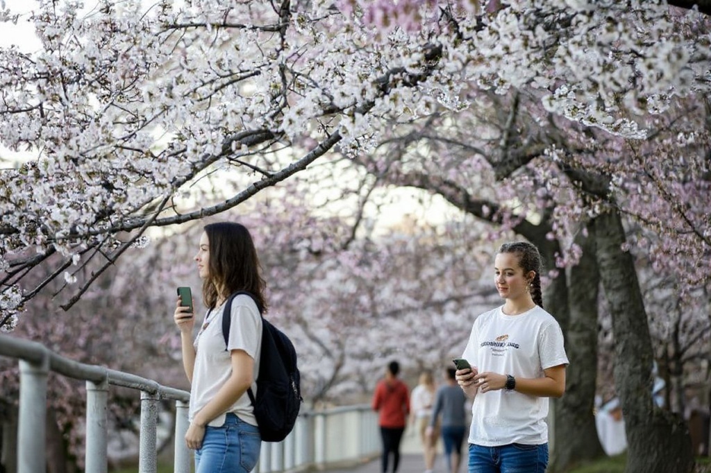 Gap years often involve travel overseas or in Australia. Source: Samuel Corum/Getty Images/
