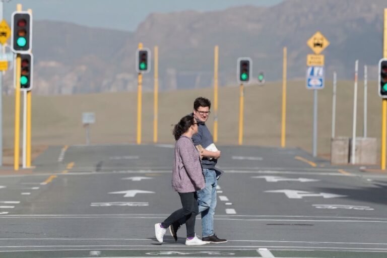 New Zealand halts student visa processing from applicants outside the country