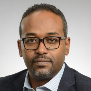 Professor Hussameldin Ibrahim