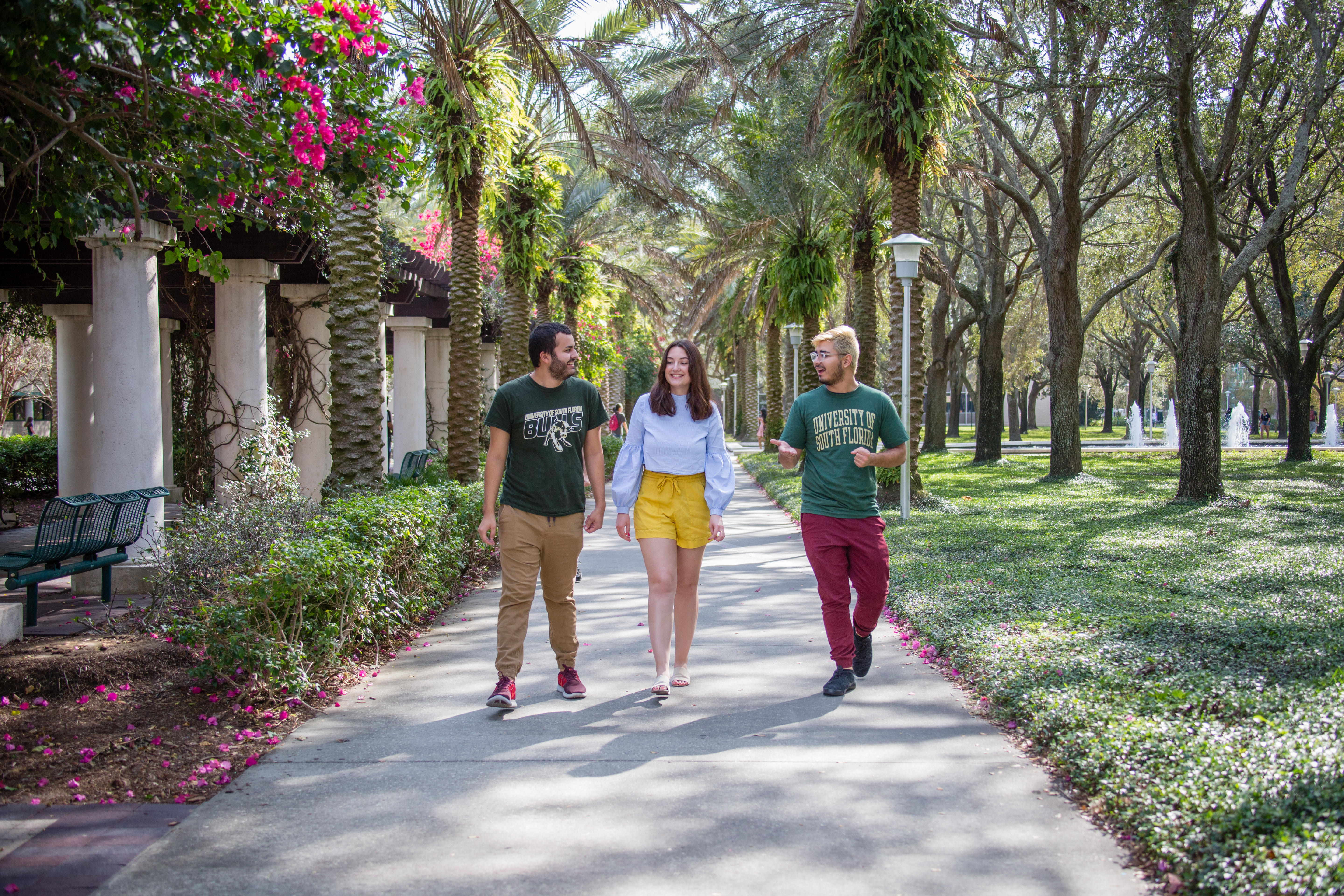 University of South Florida