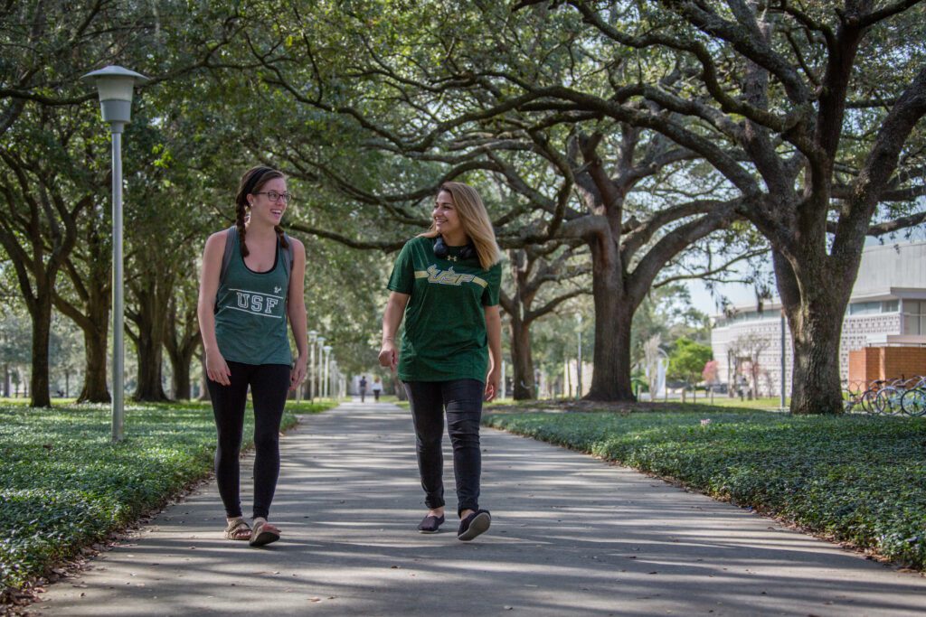 University of South Florida