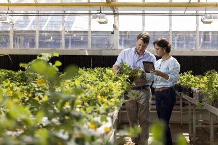 Join the future of agriculture at the University of Georgia