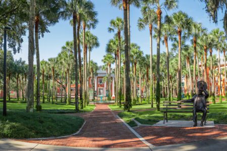 Stetson University: Launching Successful Careers