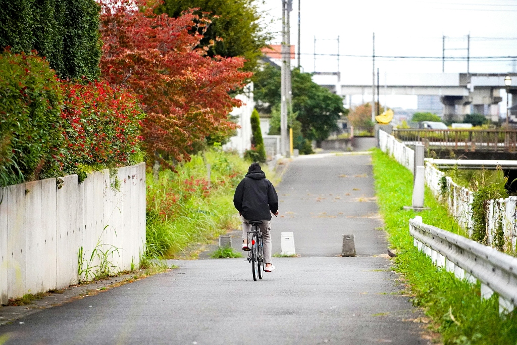 Japan cycling wide streets