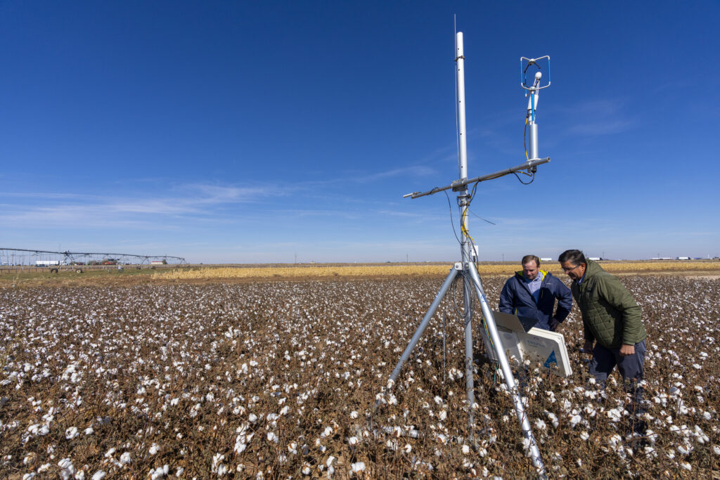 Texas A&M University: World-class agricultural graduate degrees, fully remote
