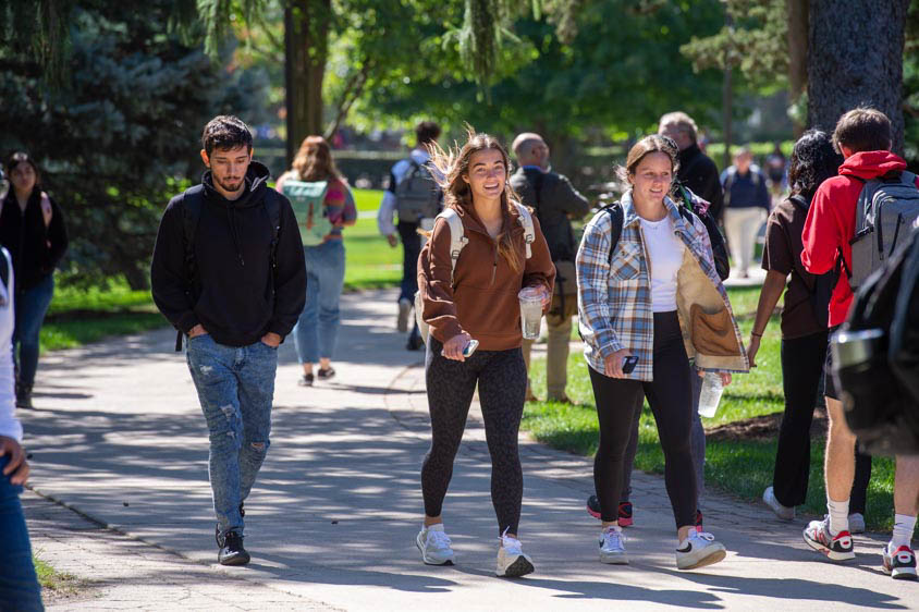 Lewis University
