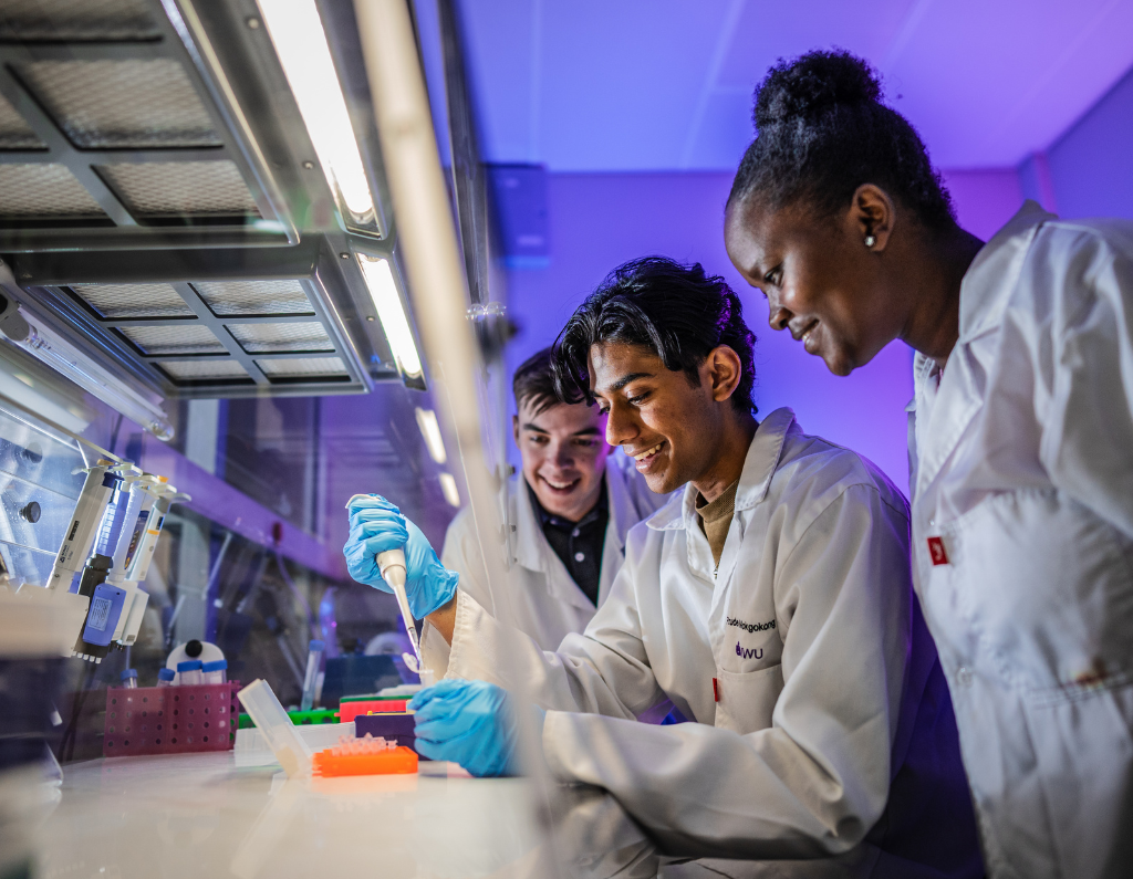 pharmaceutical sciences