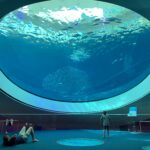 So you want to work at an aquarium? Here are 5 careers and what you can study for them