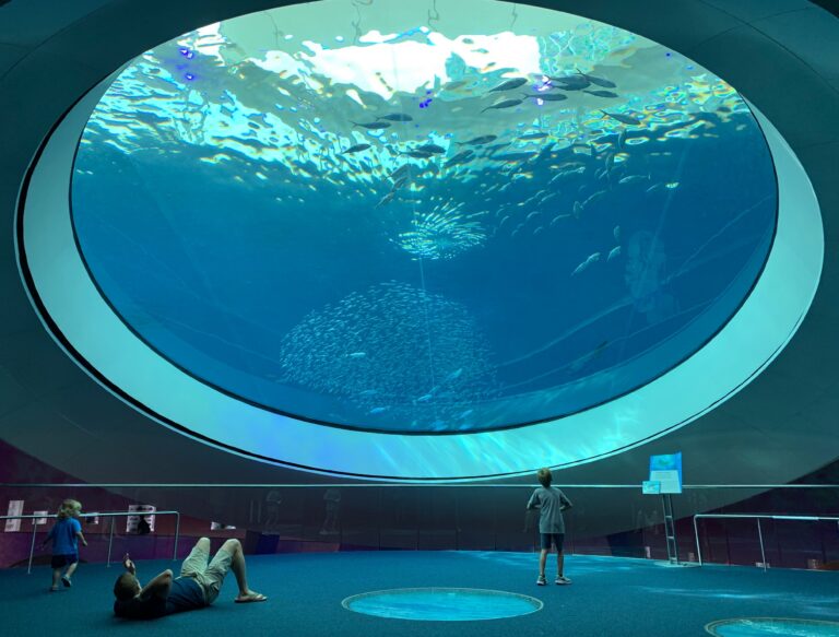 Aquarium jobs