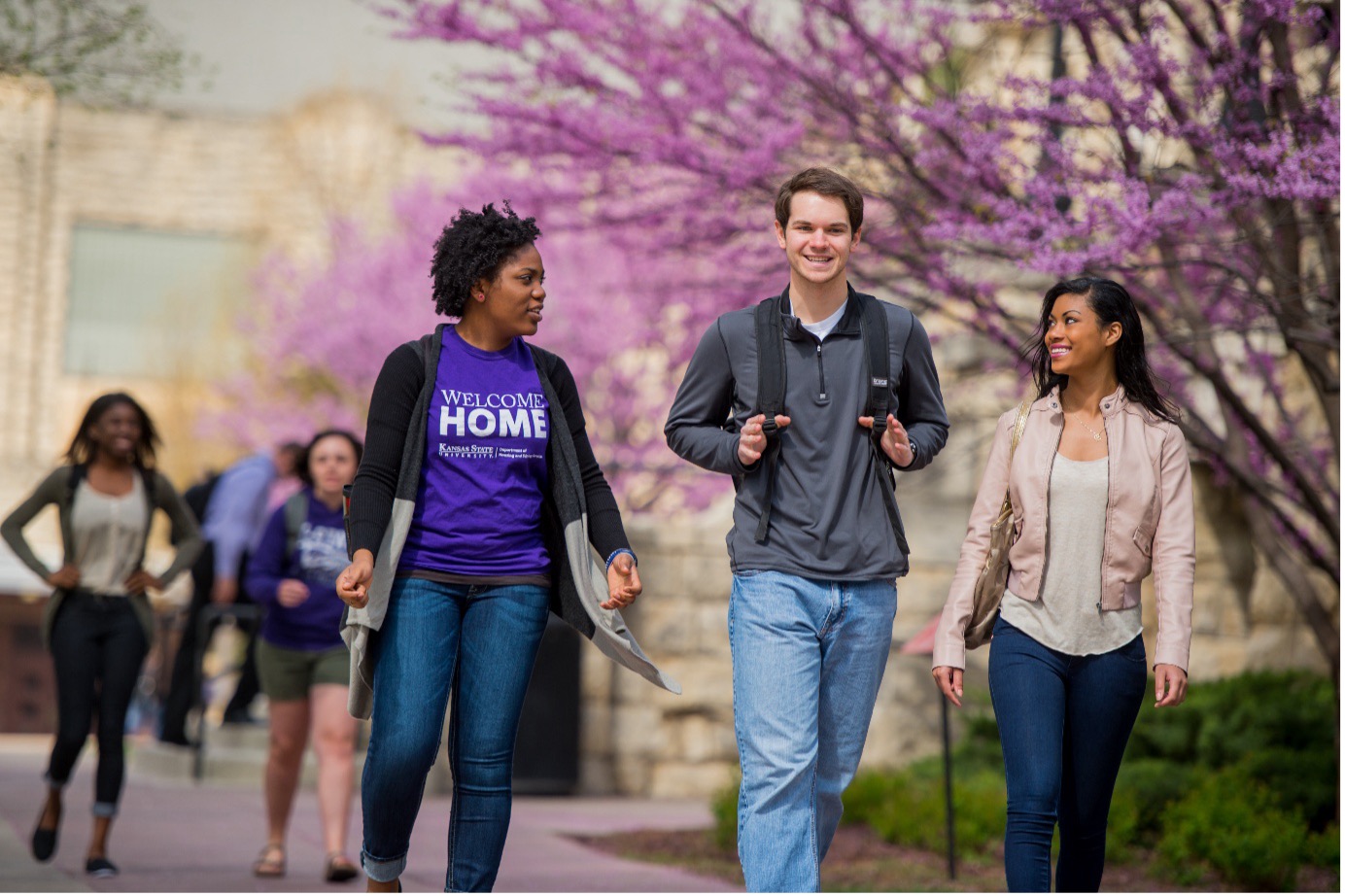 Kansas State University